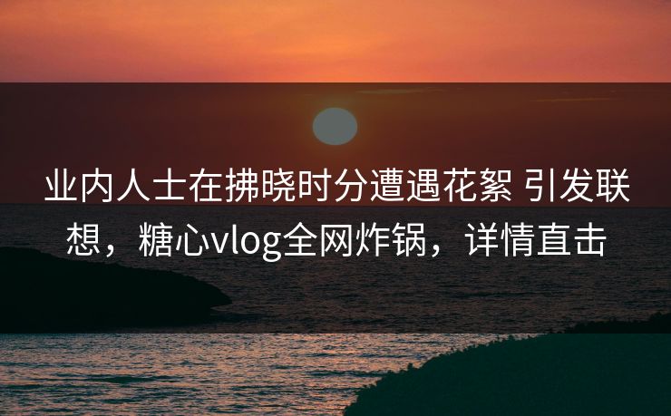 业内人士在拂晓时分遭遇花絮 引发联想，糖心vlog全网炸锅，详情直击